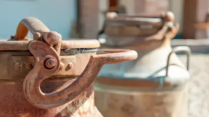 Siedlisko Sabinowo - zdjęcie 32