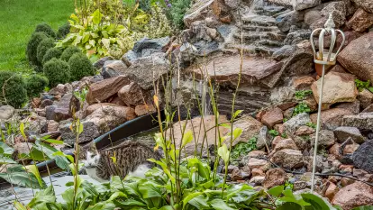 Siedlisko Sabinowo - zdjęcie 36