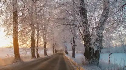 Siedlisko Sabinowo - zdjęcie 44