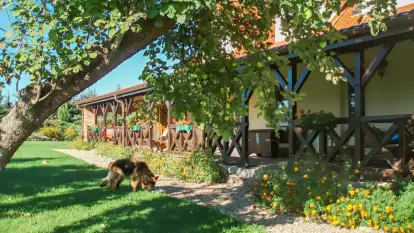 Siedlisko Sabinowo - zdjęcie 34