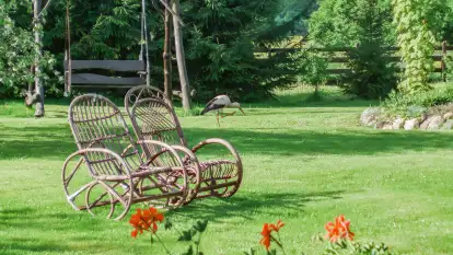 Siedlisko Sabinowo - zdjęcie 47