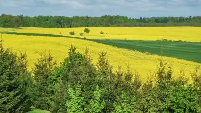 Siedlisko Sabinowo - zdjęcie 48