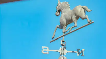 Siedlisko Sabinowo - zdjęcie 40