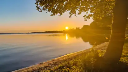 Świerkowa Ostoja - zdjęcie 31