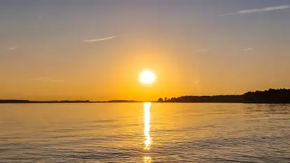 Świerkowa Ostoja - zdjęcie 33