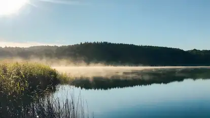 Pasterzewo 19 - zdjęcie 24