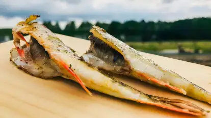 Pasterzewo 19 - zdjęcie 46