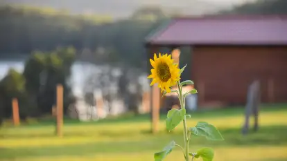 Pasterzewo 19 - zdjęcie 54