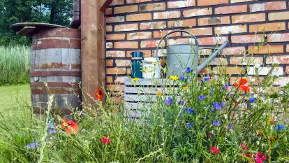 Pasterzewo 19 - zdjęcie 67