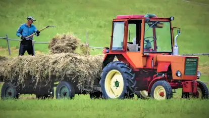 Pasterzewo 19 - zdjęcie 71