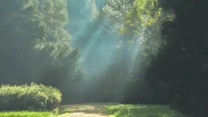 Agroturystyka Na Końcu Świata - zdjęcie 18