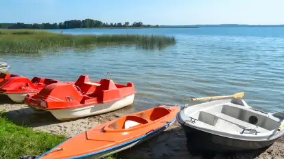 Pole Namiotowe Świerkowa Skarpa - zdjęcie 17