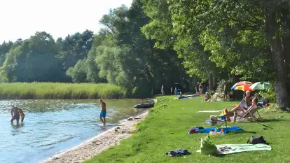 Pole Namiotowe Świerkowa Skarpa - zdjęcie 4