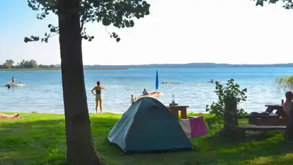 Pole Namiotowe Świerkowa Skarpa - zdjęcie 16
