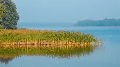 Stara Szkoła w Harszu - zdjęcie 36