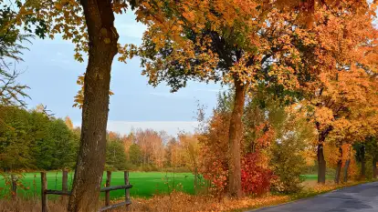 Stara Szkoła w Harszu - zdjęcie 34