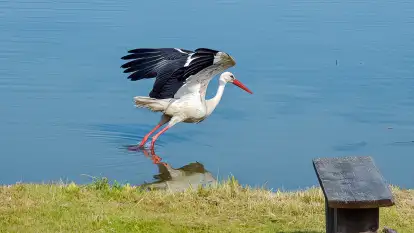 Stara Szkoła w Harszu - zdjęcie 56