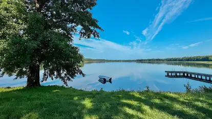 Stara Szkoła w Harszu - zdjęcie 58