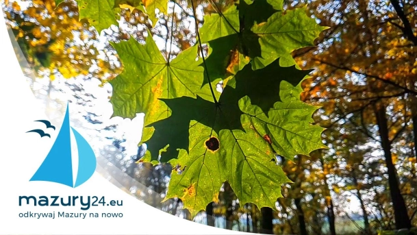 Mazurskie barwy - złota jesień 2020