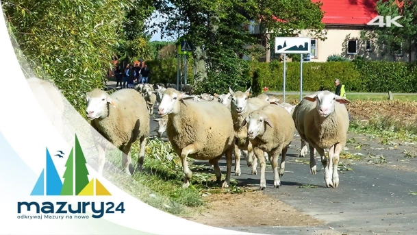 Mazurski Redyk 2023, Mazury są piękne i beeeee, 4K