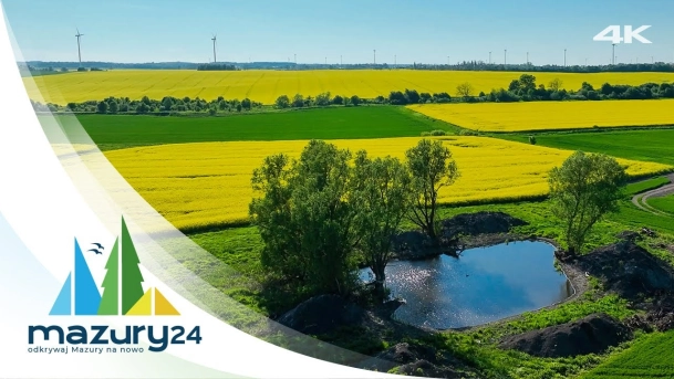 Rzepakowe pola, Mazury, maj 2024, 4K