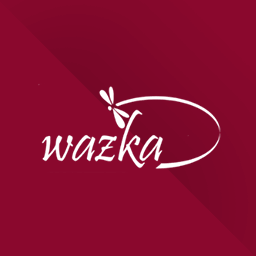 Logo - Szkoła Żeglarstwa Ważka