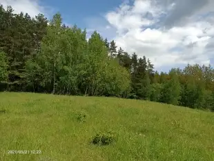 Działki budowlano-rekreacyjne - zdjęcie 3