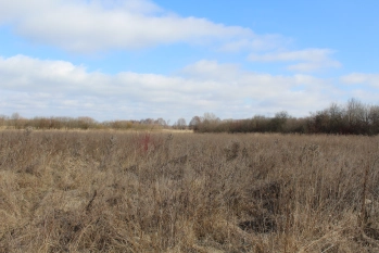 Działka rolna 4442 m2 blisko jeziora Białoławki - zdjęcie 7