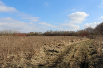 Działka rolna 4442 m2 blisko jeziora Białoławki - zdjęcie 4