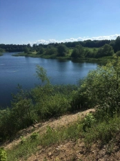 DZIAŁKA 29 ha GRZYBINY, DZIAŁDOWO, NIDZICA - zdjęcie 1