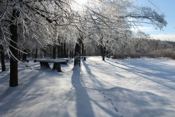 Działka rekreacyjna w Karwiku j. Seksty - zdjęcie 22
