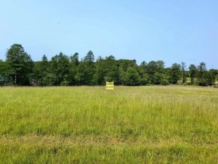 Działka z linią brzegową jeziora Wygryny w Wygrynach - zdjęcie 9