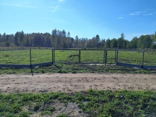 6 dużych działek rekreacyjnych 150 m od jeziora Roś - zdjęcie 7