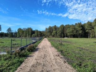 6 dużych działek rekreacyjnych 150 m od jeziora Roś - zdjęcie 6