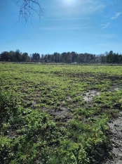 6 dużych działek rekreacyjnych 150 m od jeziora Roś - zdjęcie 5