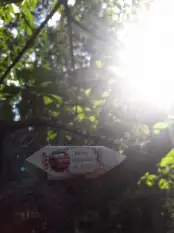 Wynajem domu letniskowego - Mazurski Zakątek Agaty - Nowy Zyzdrój, Mikołajki, Mrągowo - zdjęcie 4