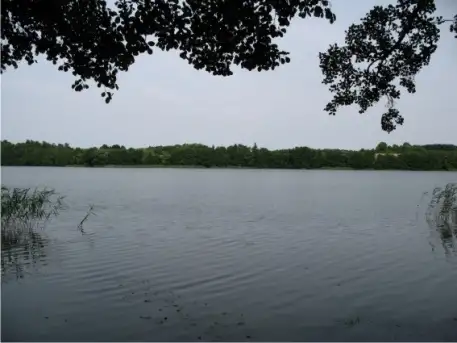 Działka z linią brzegową